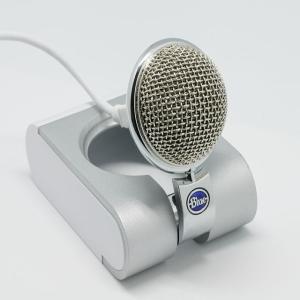 microphone (in Input devices)